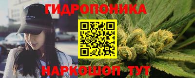 мдпв Гусев