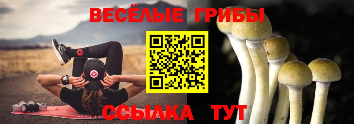 Псилоцибиновые грибы ЛСД Междуреченск