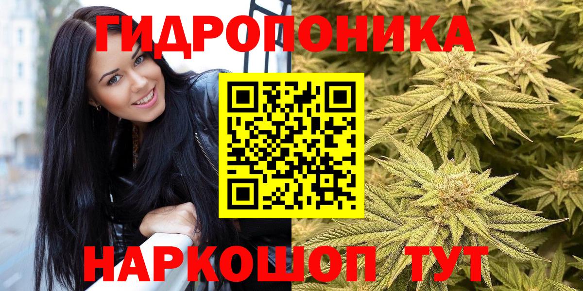 Бошки Шишки индика  Вход с VPN  Междуреченск  Шишки марихуана VHQ  Марихуана семена 